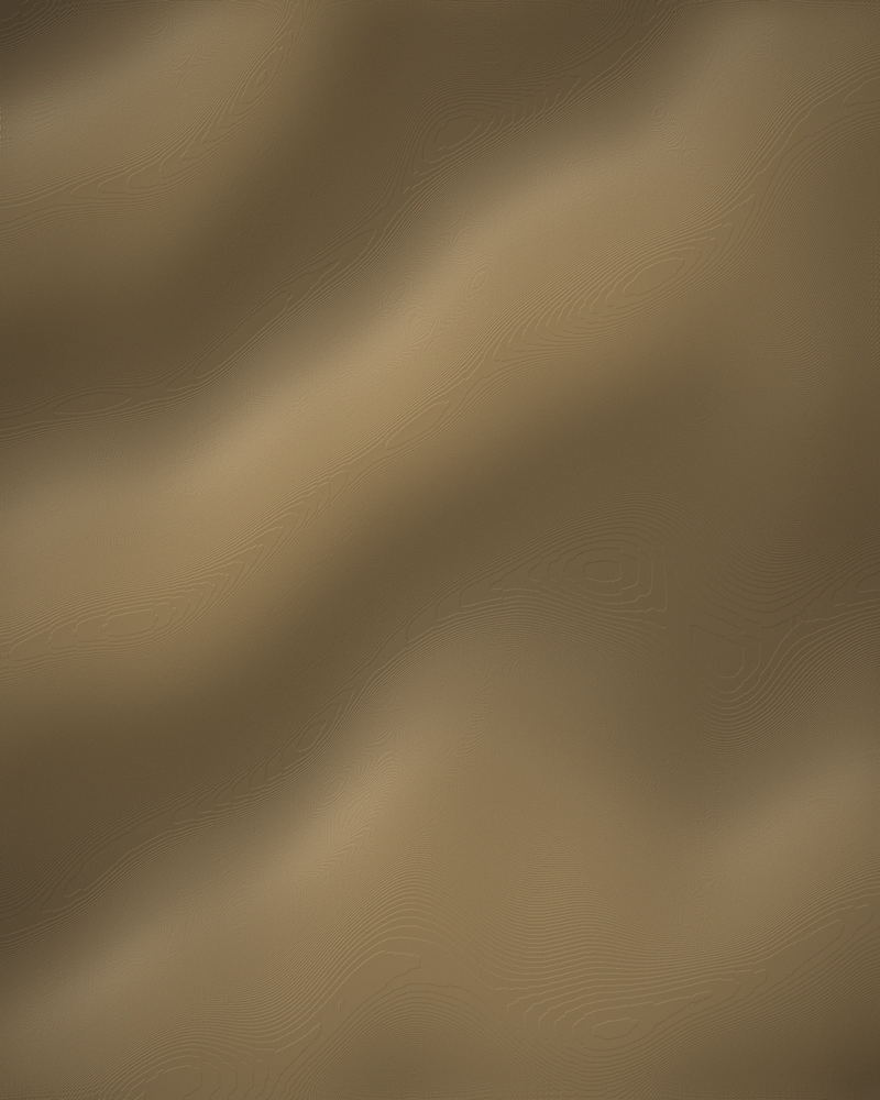 Editorial texture study — warm gold tones under directional light